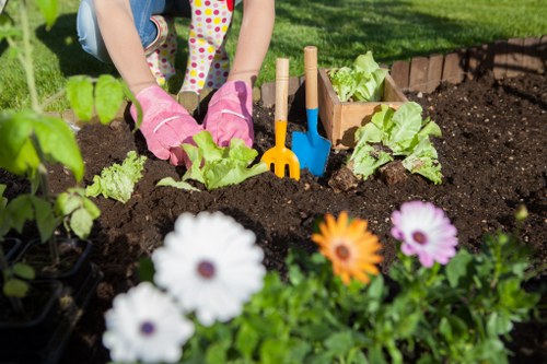 The image depicts a close-up view of a garden bed with dark, fertile soil, where a person wearing pink gardening gloves is tending to young green lettuces. Several small gardening tools with wooden handles and plastic scraper blades are inserted into the soil near the plants, indicating active planting or maintenance. In the foreground, there are bright, colorful flowers, including white, orange, and purple blossoms, adding visual appeal to the garden. The background features a lush, neatly maintained lawn with vibrant green grass, and a garden border made of red brick that separates the flower bed from the grassy area. The scene suggests a well-organized outdoor space typical of residential gardens in Maida Vale, suitable for gardening services such as planting, garden maintenance, or flower bed care, provided by companies like Hedge Trimming Maida Vale. The overall environment is well-lit, indicating a sunny day conducive to gardening activities, with natural tones of soil, plants, and flowers creating a vibrant, healthy outdoor setting.