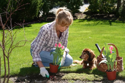 Seasonal garden clearance in Maida Vale