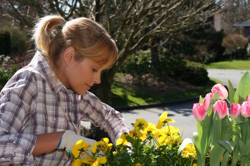Environmental benefits of tree maintenance