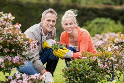 Various types of hedges suitable for Maida Vale gardens